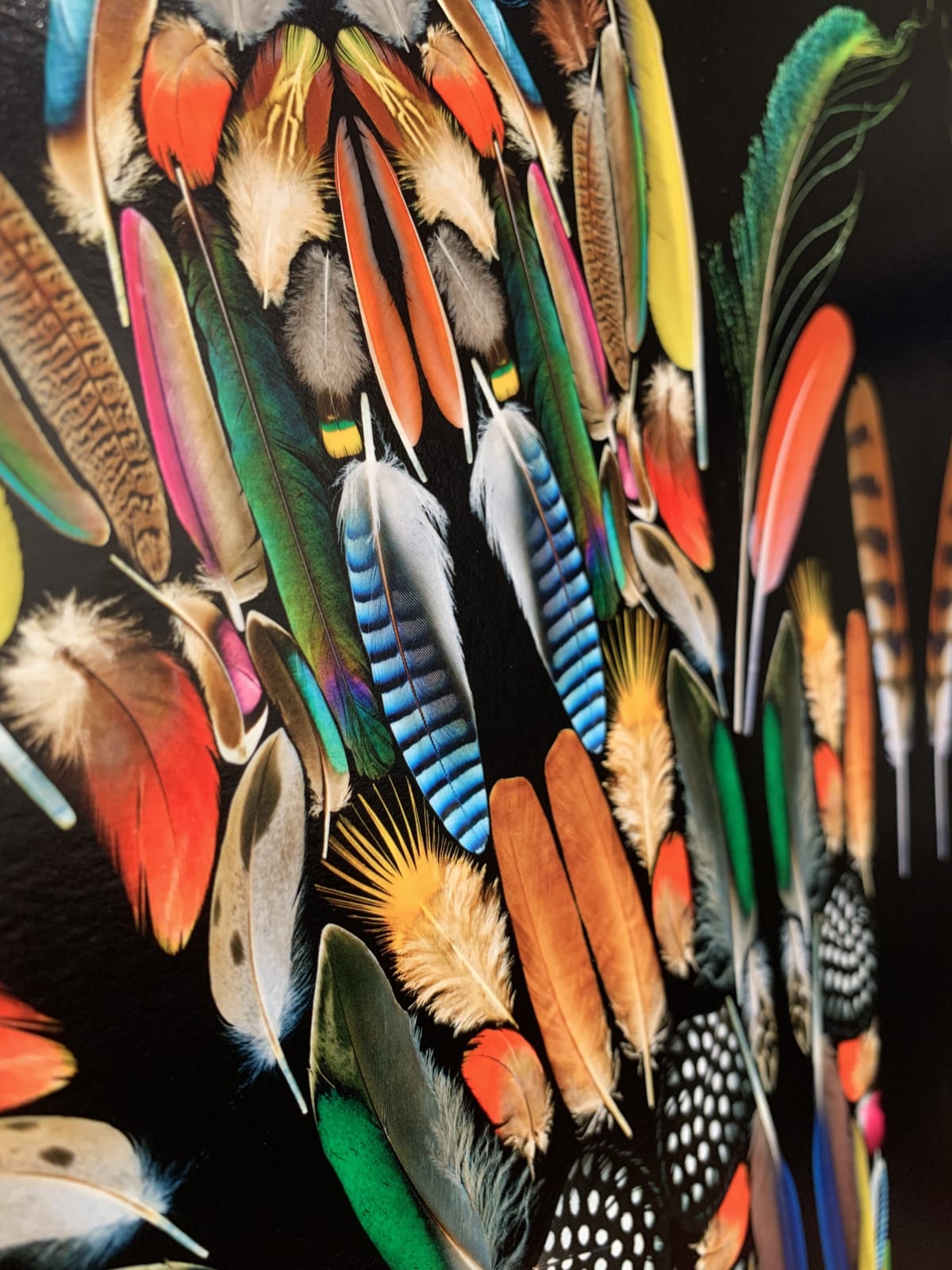 George McLeod, Feathers , 2022