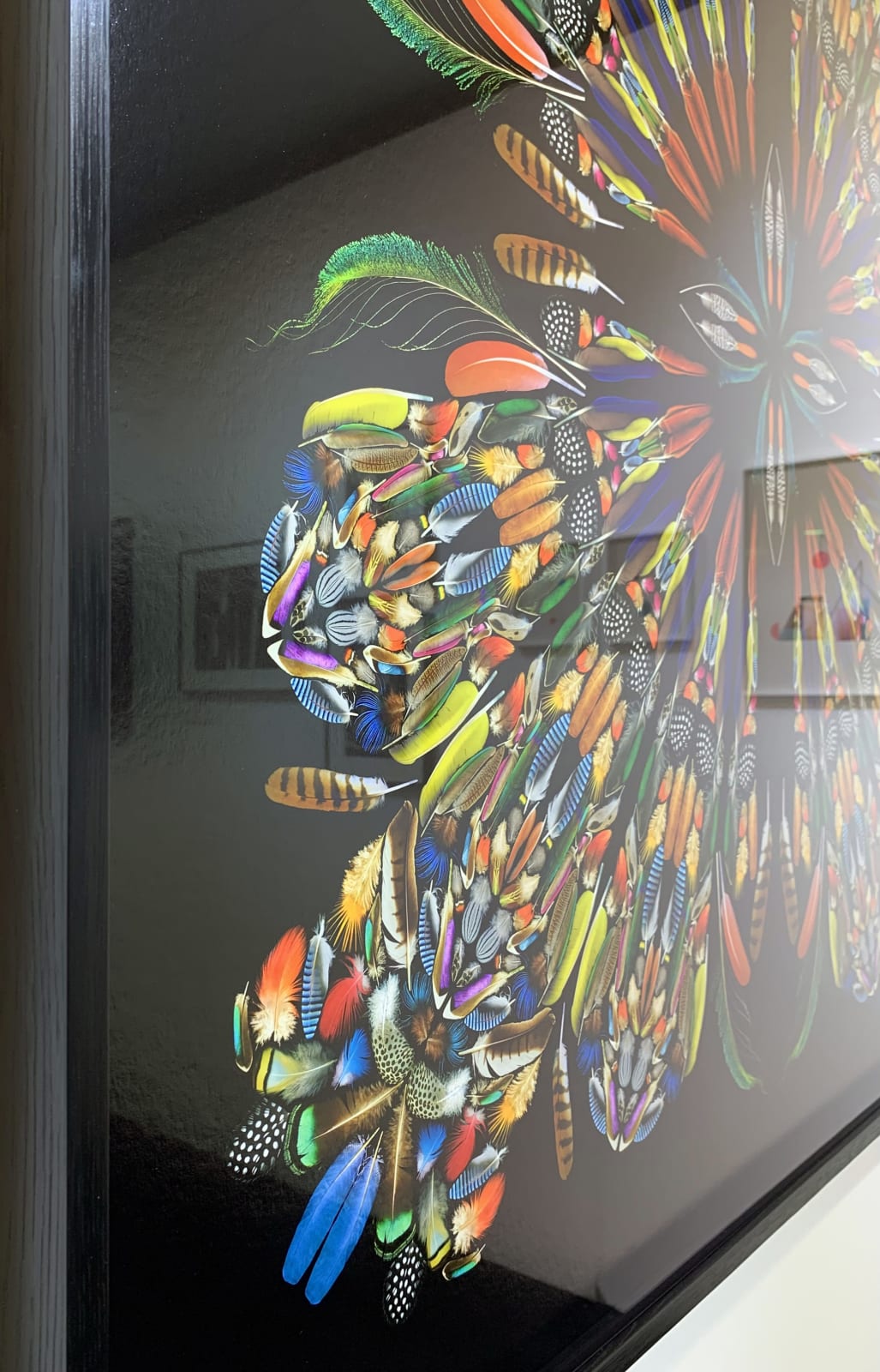 George McLeod, Feathers , 2022