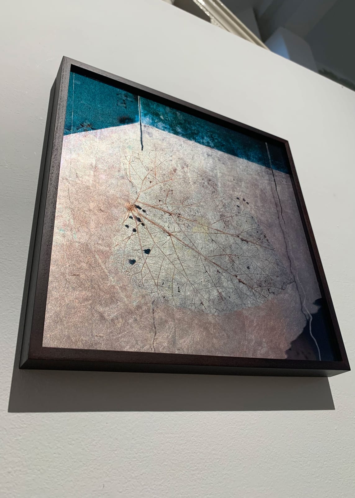Valda Bailey, The Light Gleams, 2019