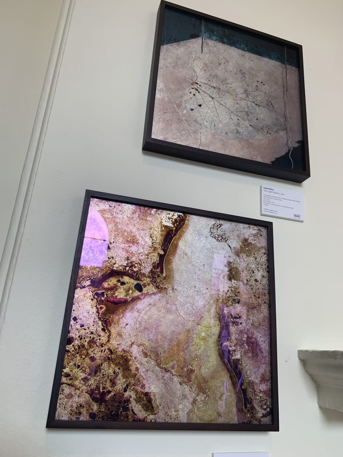 Valda Bailey, Cosmos I, Pink and White Gold leaf on Glass, 2019