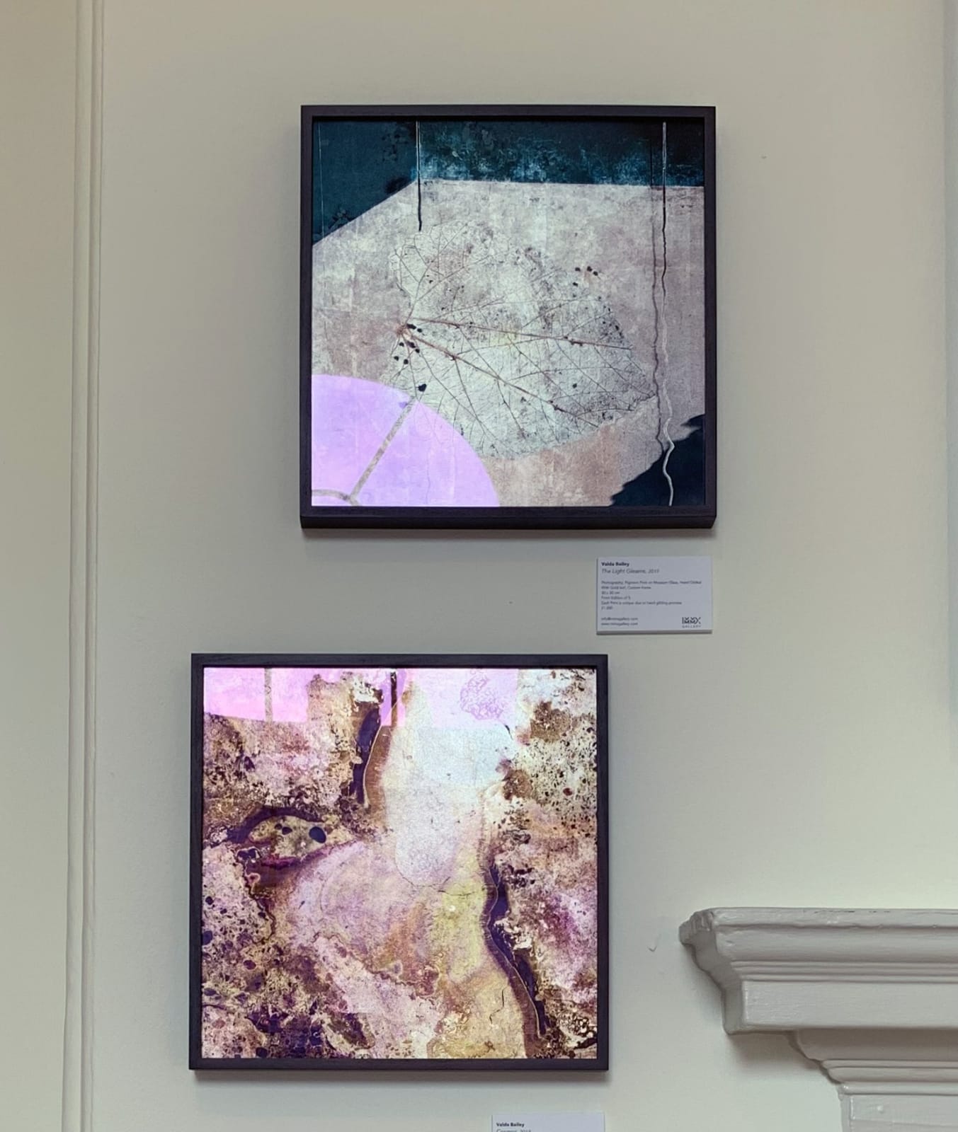 Valda Bailey, Cosmos I, Pink and White Gold leaf on Glass, 2019