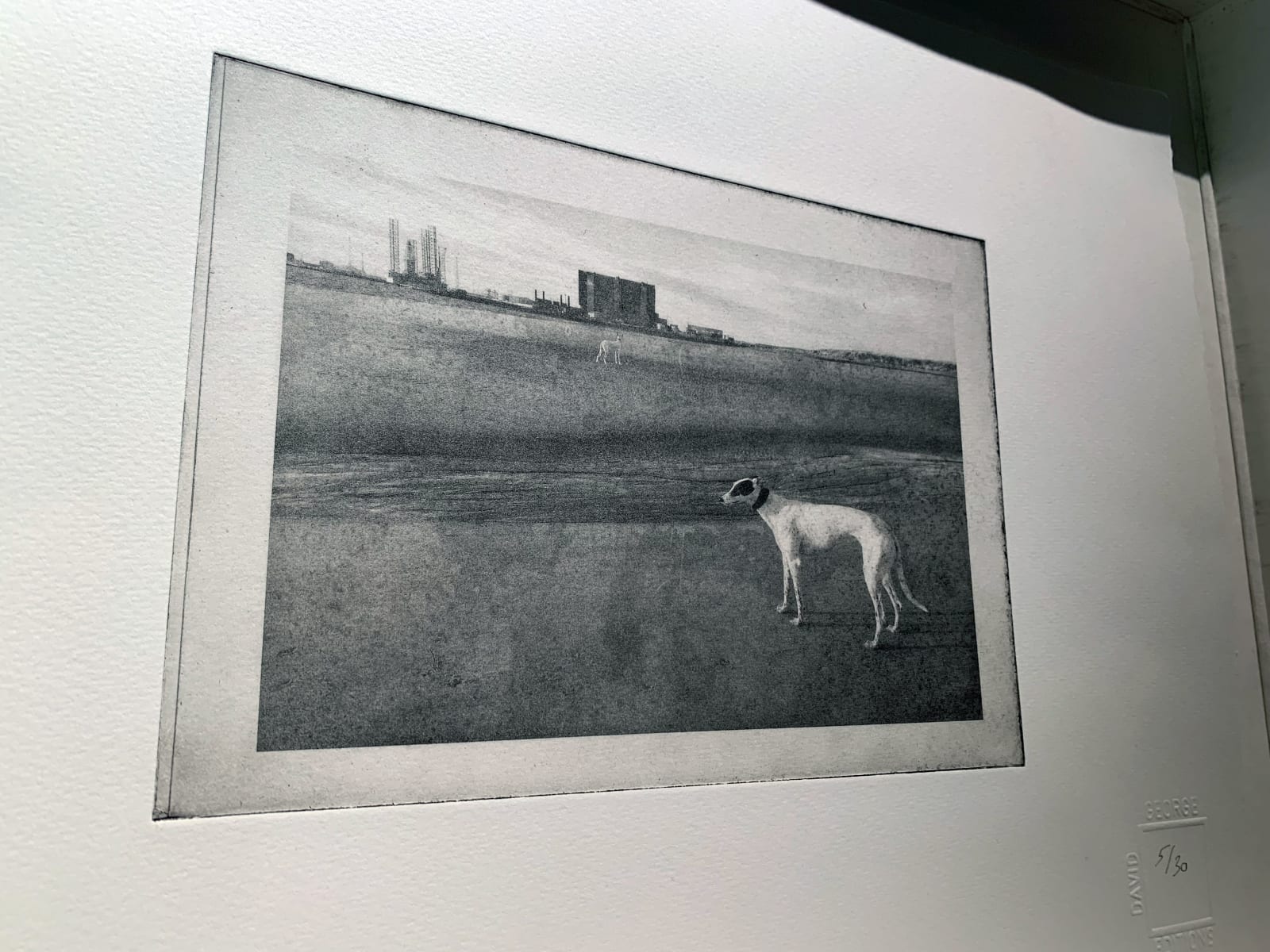 David George, Hartlepool Power Station with Elsie and Hector, 2018