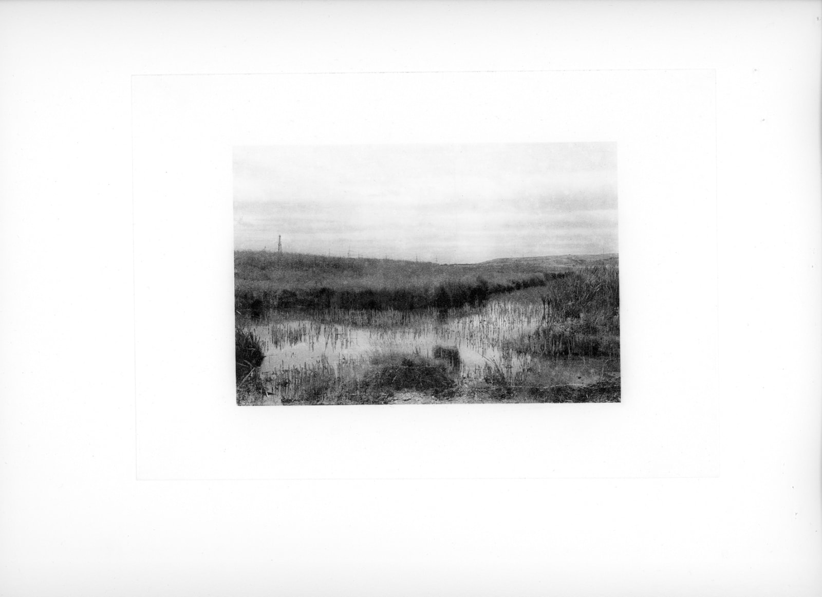 David George, Seaton Common, 2020