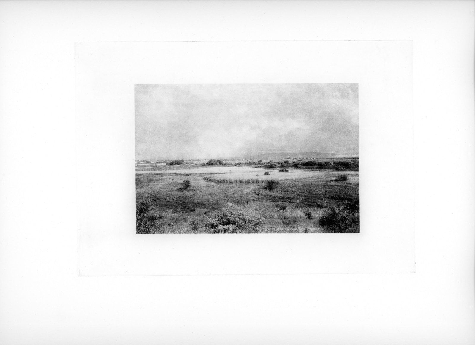 David George, Warrenby, 2018