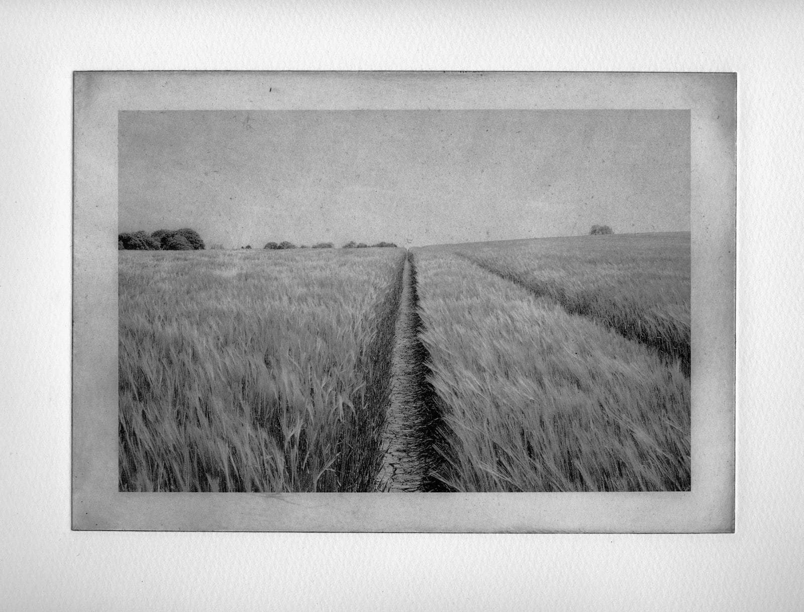 David George, Whorlton, 2018