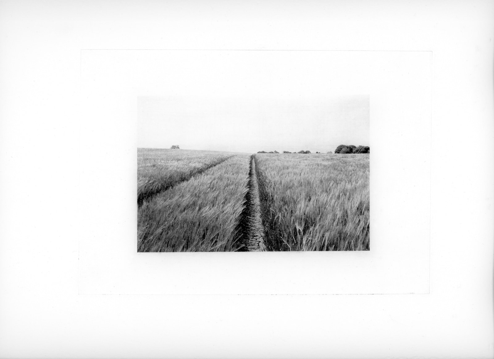 David George, Whorlton, 2018