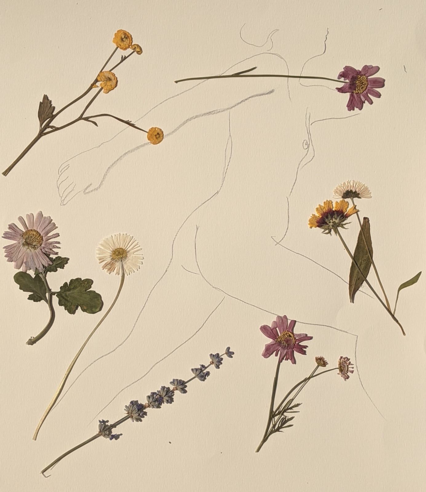 Sasha Podgurska, Herbarium, 2020
