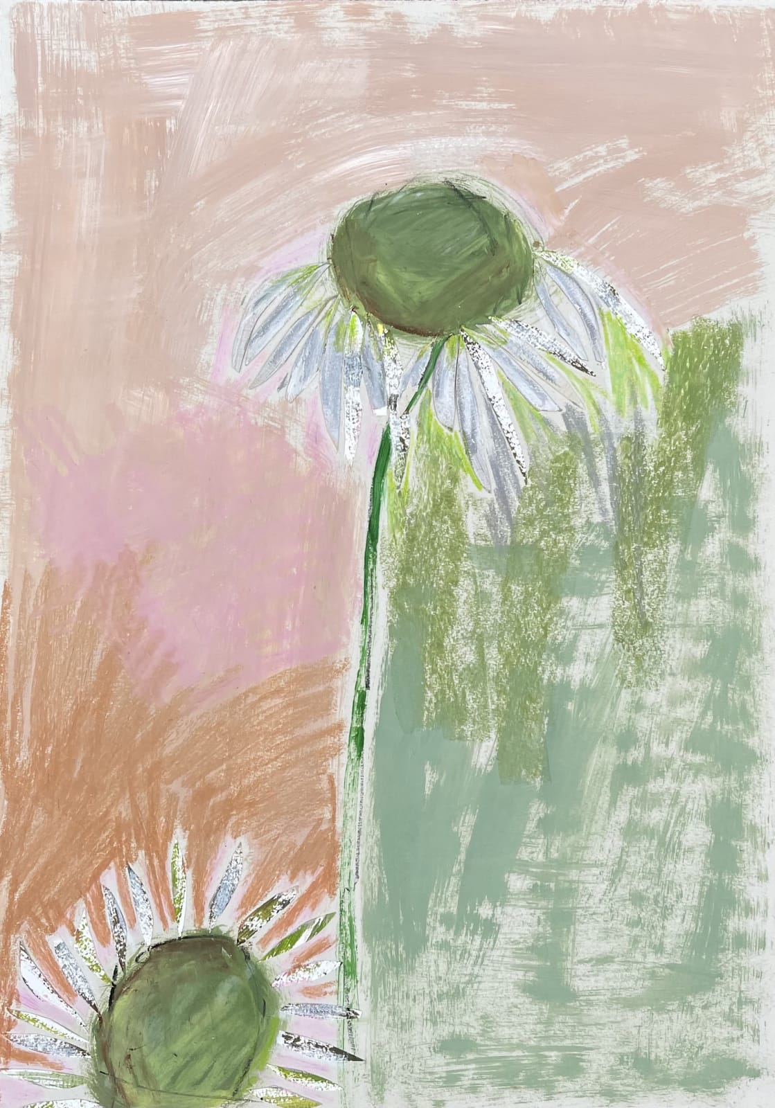 Diana Forbes, Echinacea VIII, 2021
