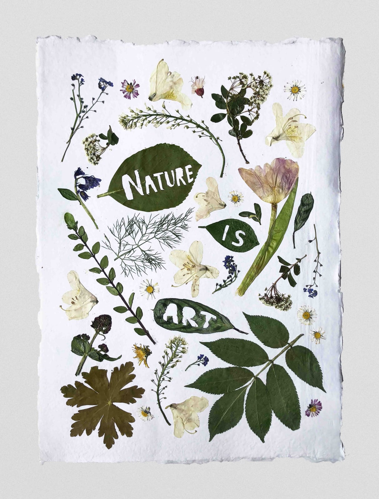 Sasha Compton, Art is Nature