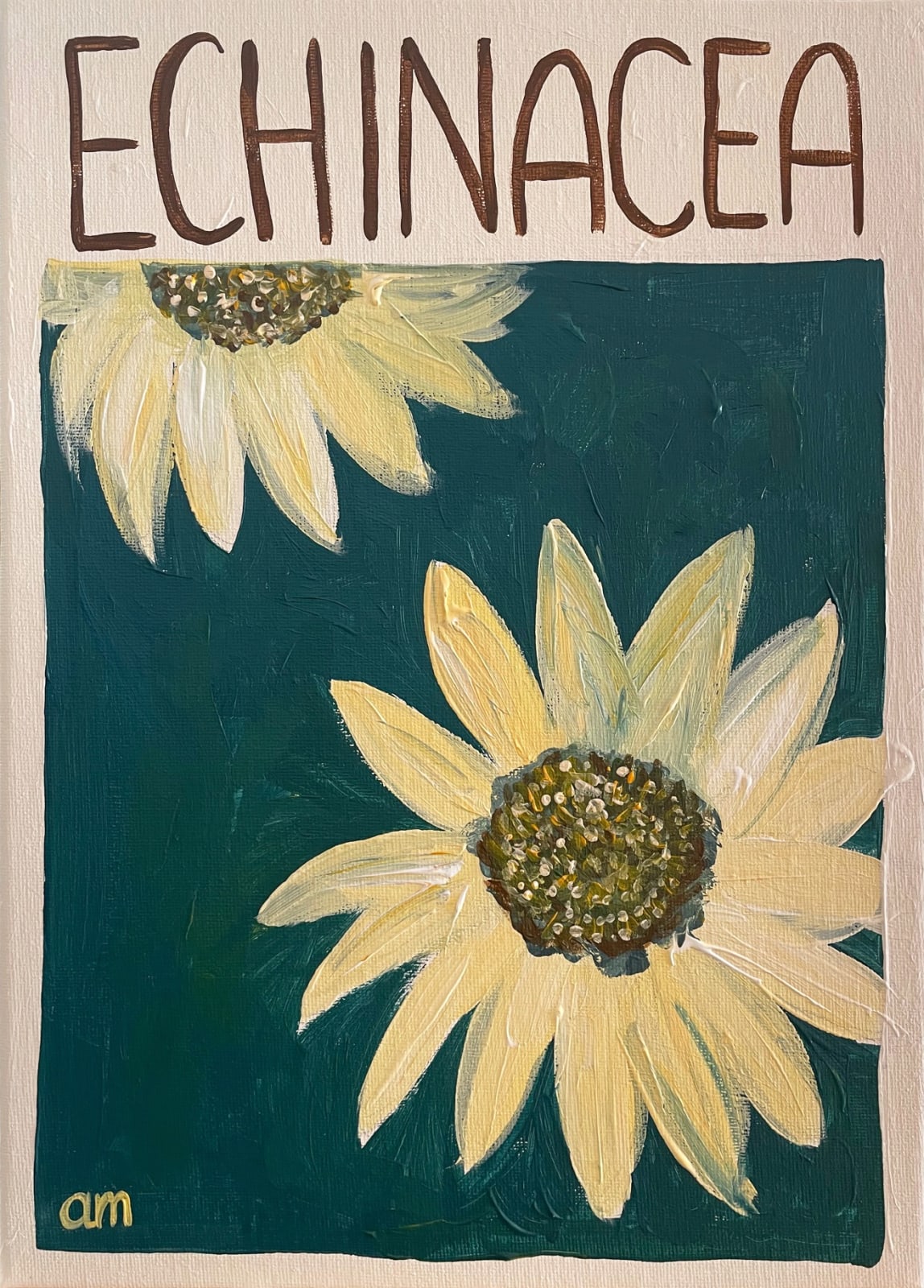 Ainhoa Montánchez, Echinacea, 2021