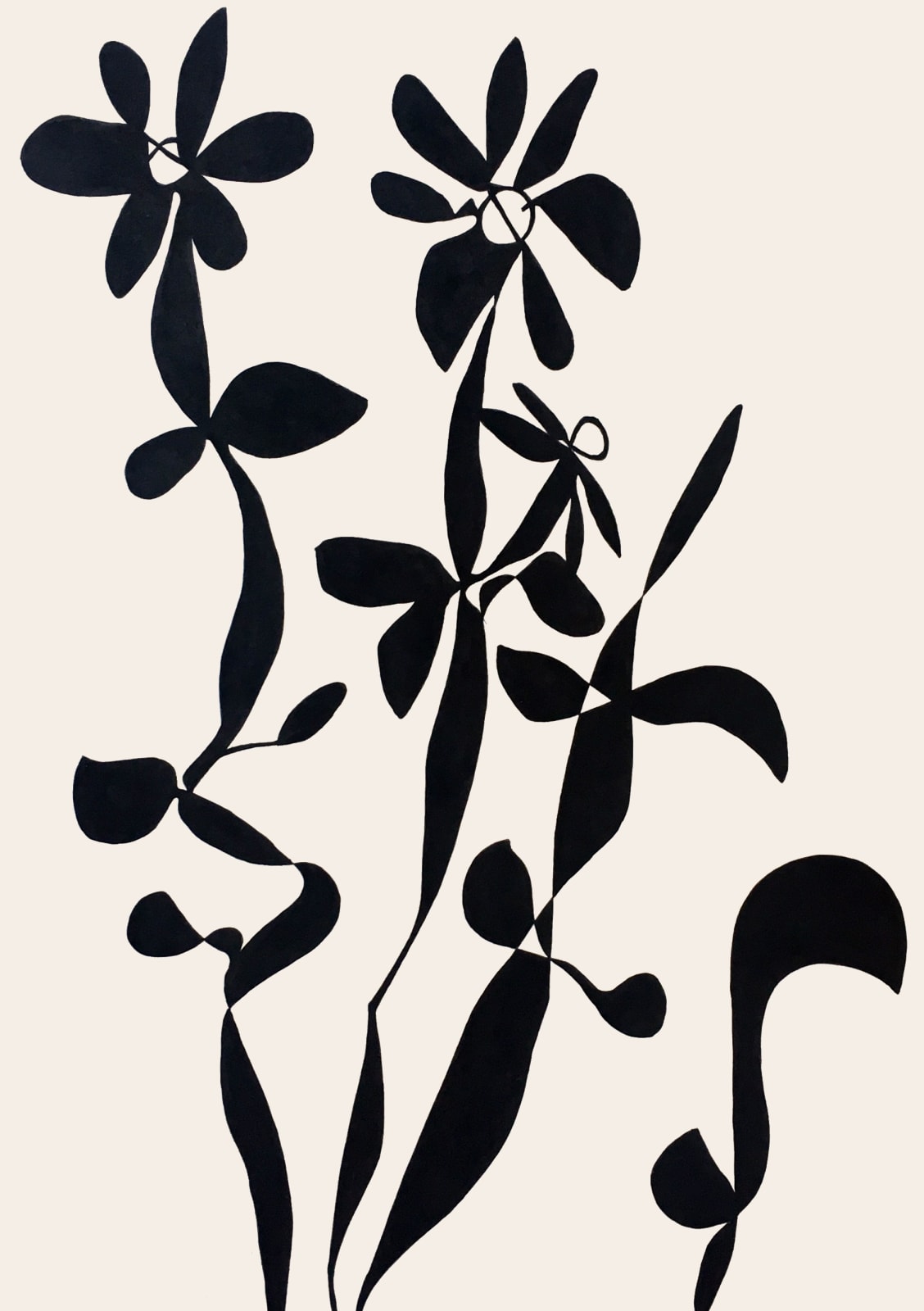 Bethany Parkinson, Echinacea I, 2021