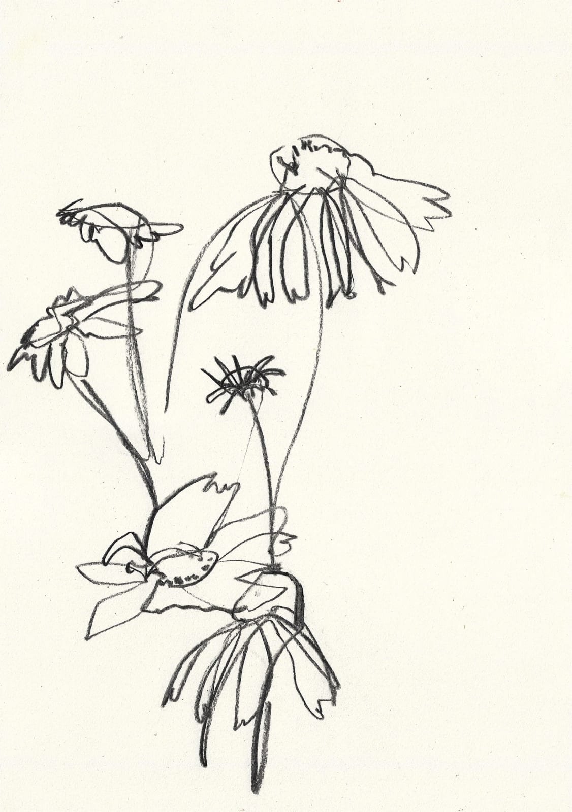 Jessica Bird, Daydream, 2021