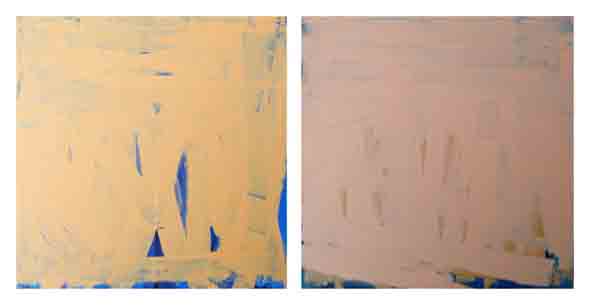 Bridget O'Rourke Skin orange and pink Oil on wood, diptych Each 30 x 30 cm