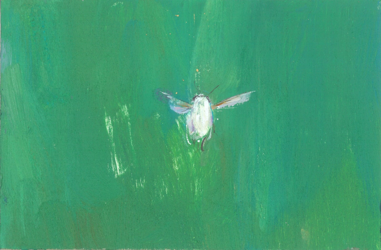 Gabhann Dunne Ghost of a bee Oil on gesso panel 10 x 15 cm