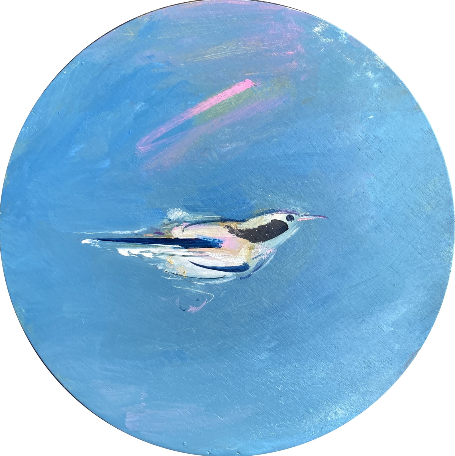 Gabhann Dunne, Black and white warbler, 2023