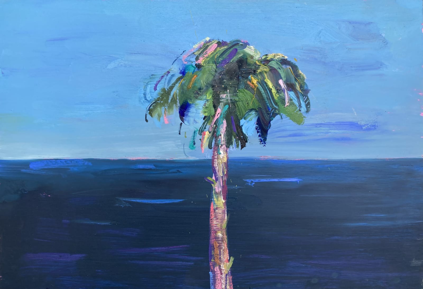 Gabhann Dunne, Archaeopteris Hibernicus