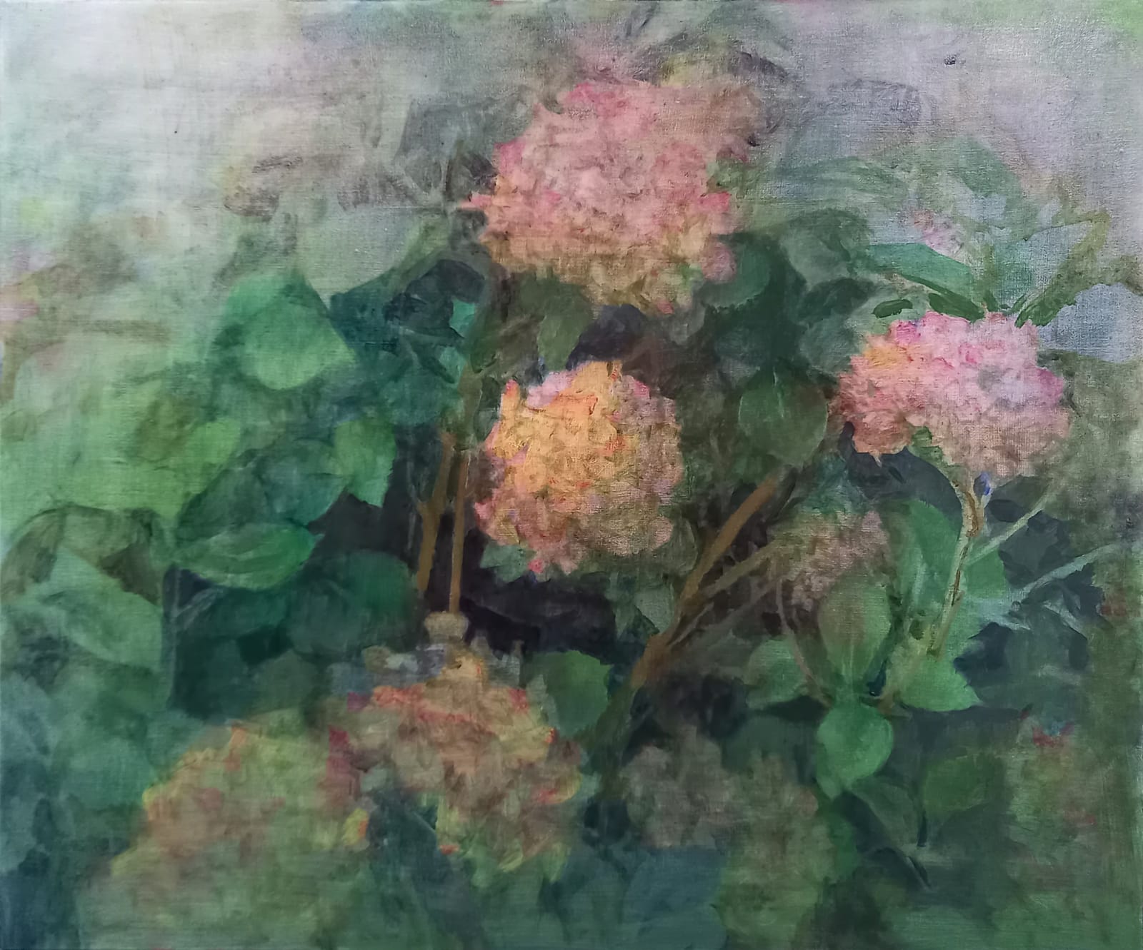 Maeve McCarthy, Hydrangeas 5