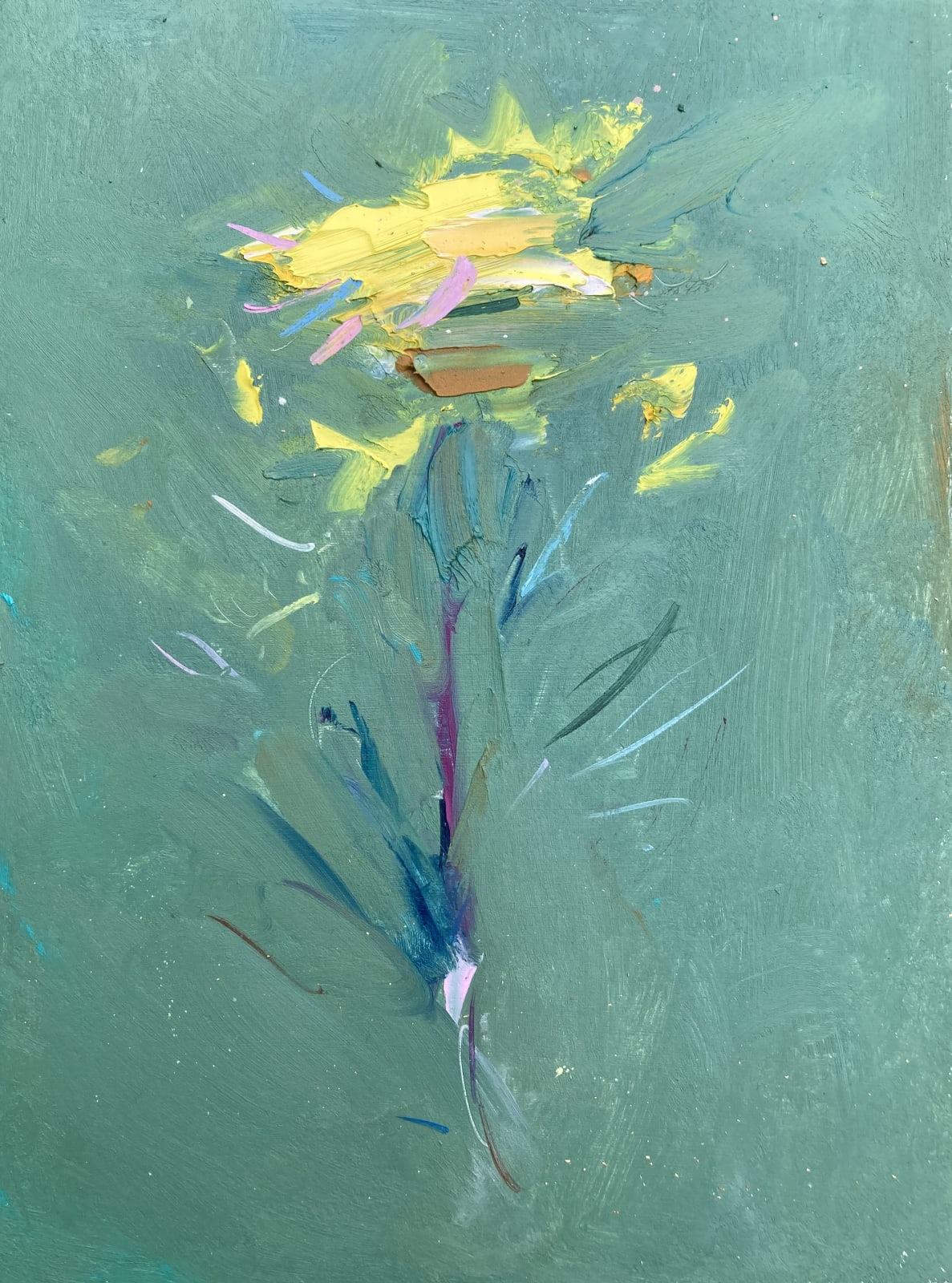 Gabhann Dunne, Irish fleabane, 2023