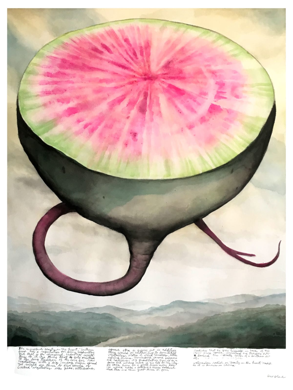 Phil Blank, Watermelon Radish