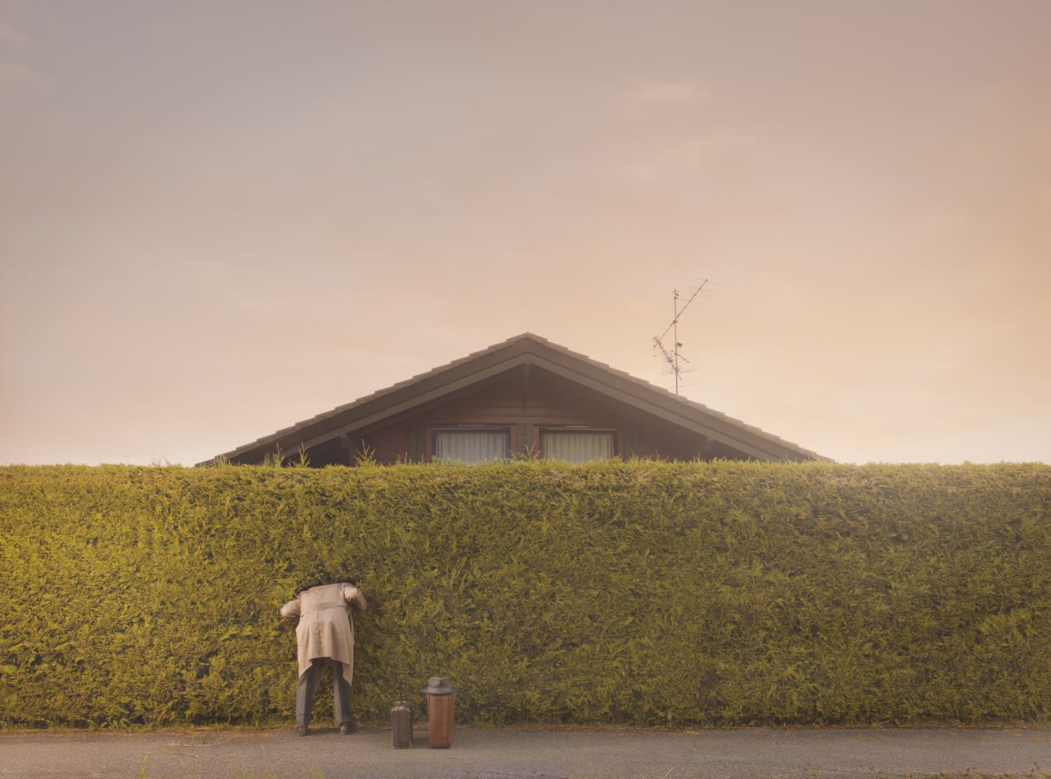 Ole Marius Joergensen , The House and the Hedge from Vignette of a salesman , 2017
