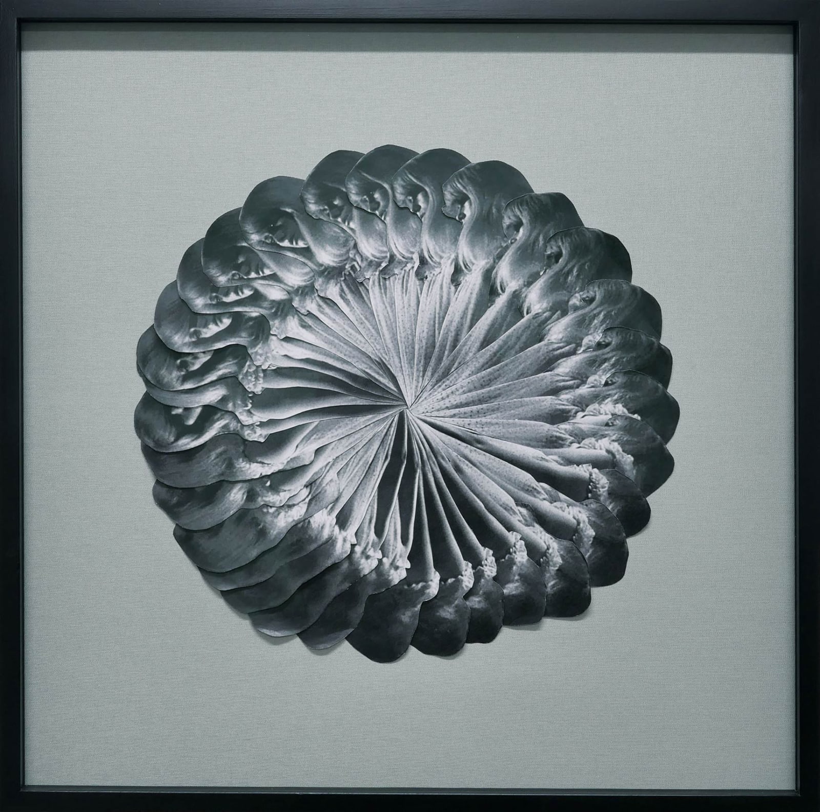 Black and white circular collage made of cut out photograph of a womans head