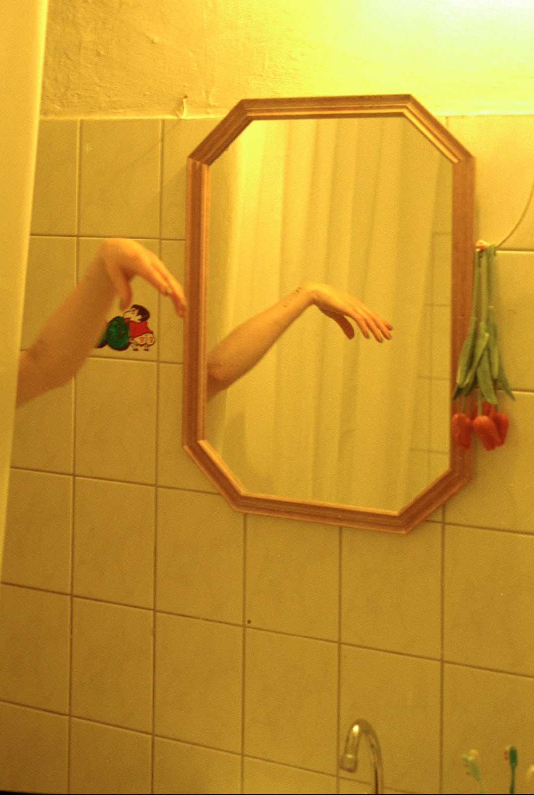 Paula Hummer, Bathroom mirror, 2019
