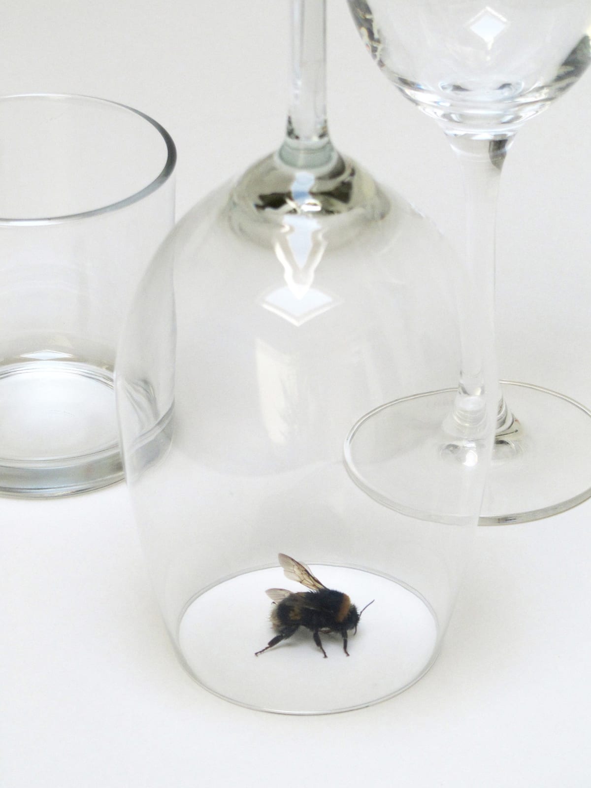 Peter de Meyer, The visitor, 2012