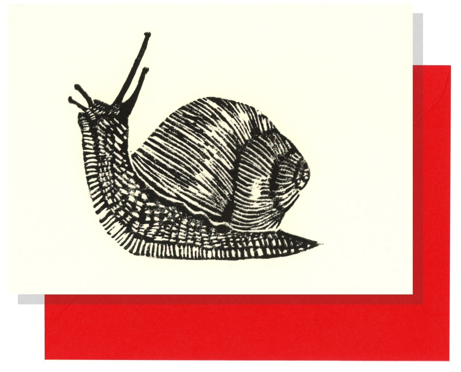 Cards, Gail the Snail
