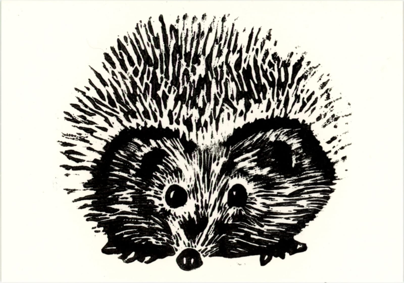 Cards, Spike