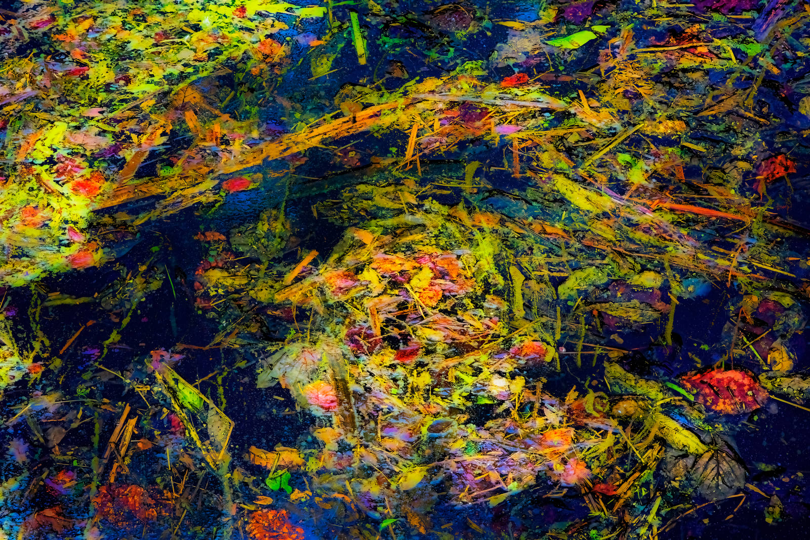 Nigel Hudson, 'COLOUR SPLASH', 2023