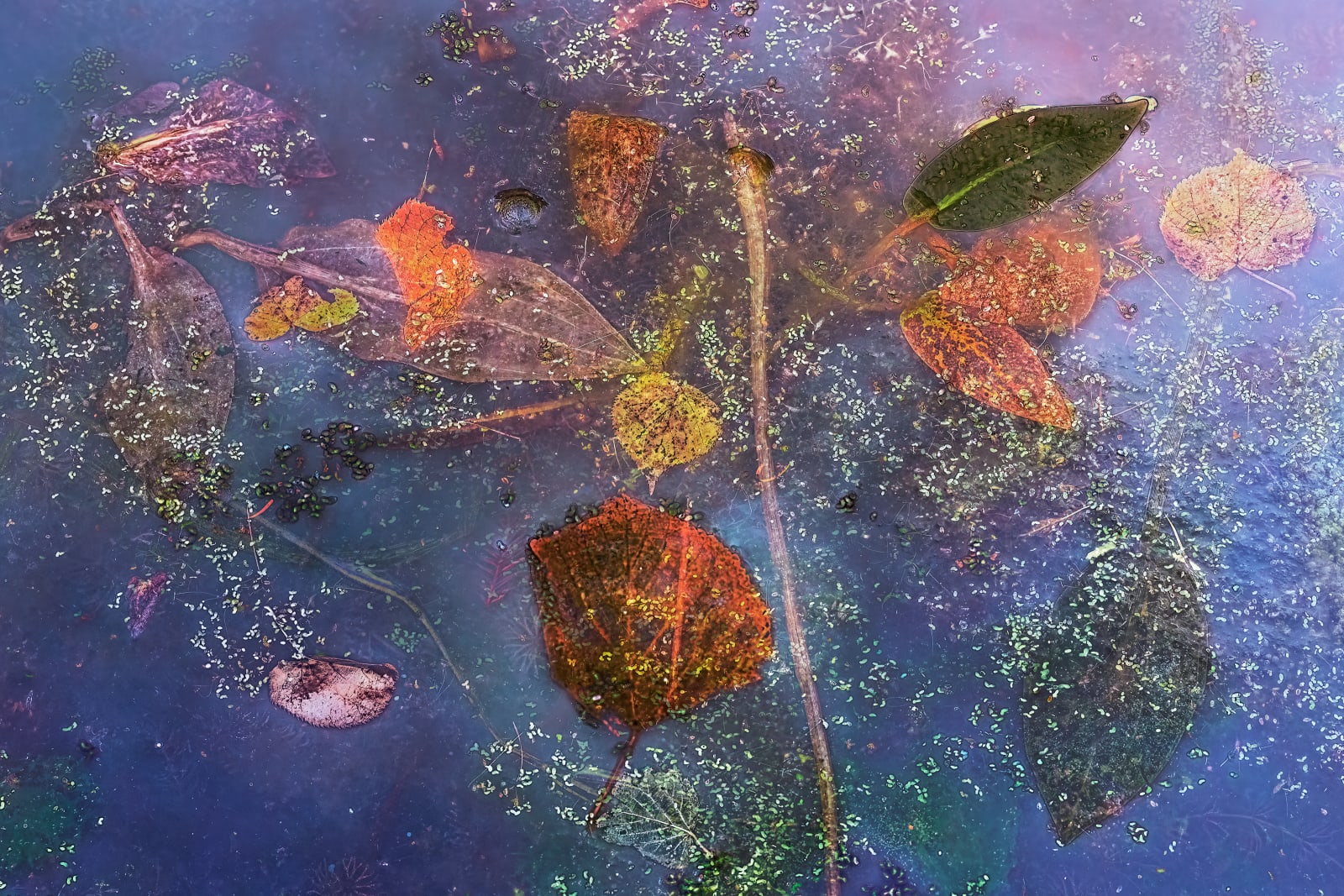 Nigel Hudson, 'CONFLUENCE' #02, 2025