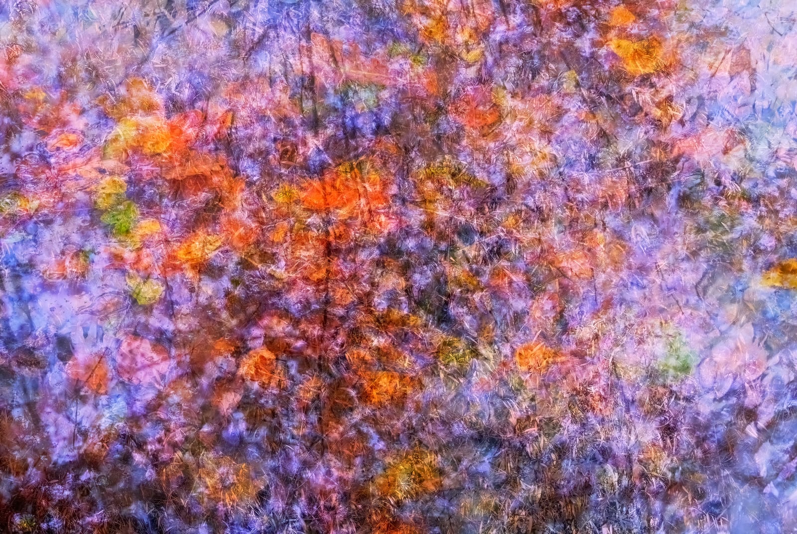 Nigel Hudson, 'AUTUMN TRANSITION' #03 , 2024