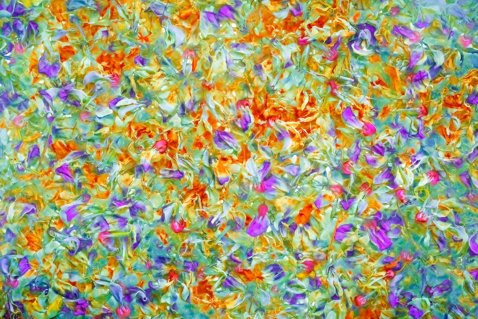 Nigel Hudson, 'SPECTRUM OVERLOAD', 2024