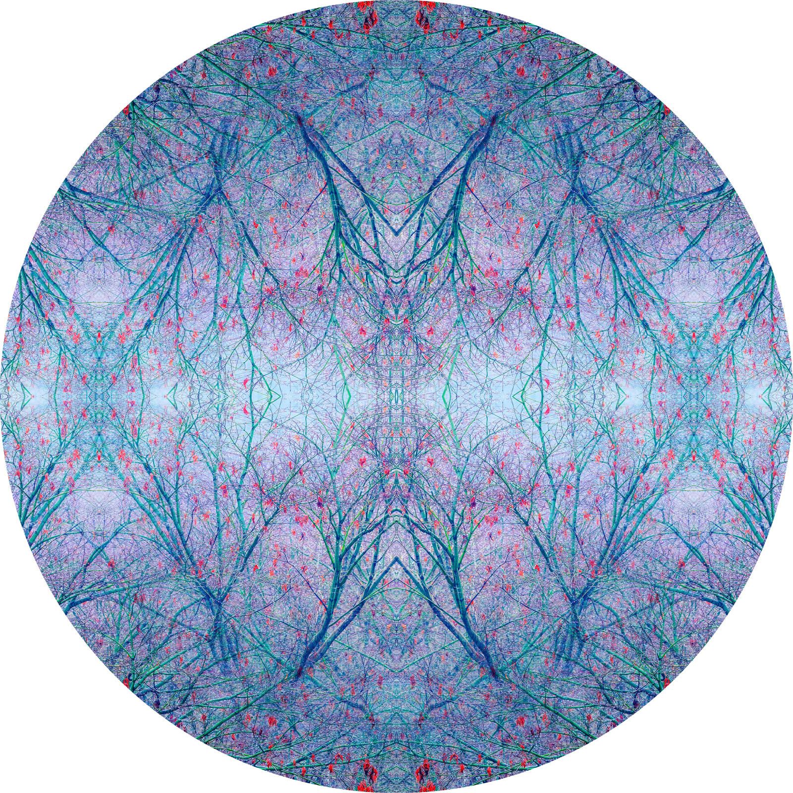 Nigel Hudson, 'BRIGHT SHINY DISC #03', 2025