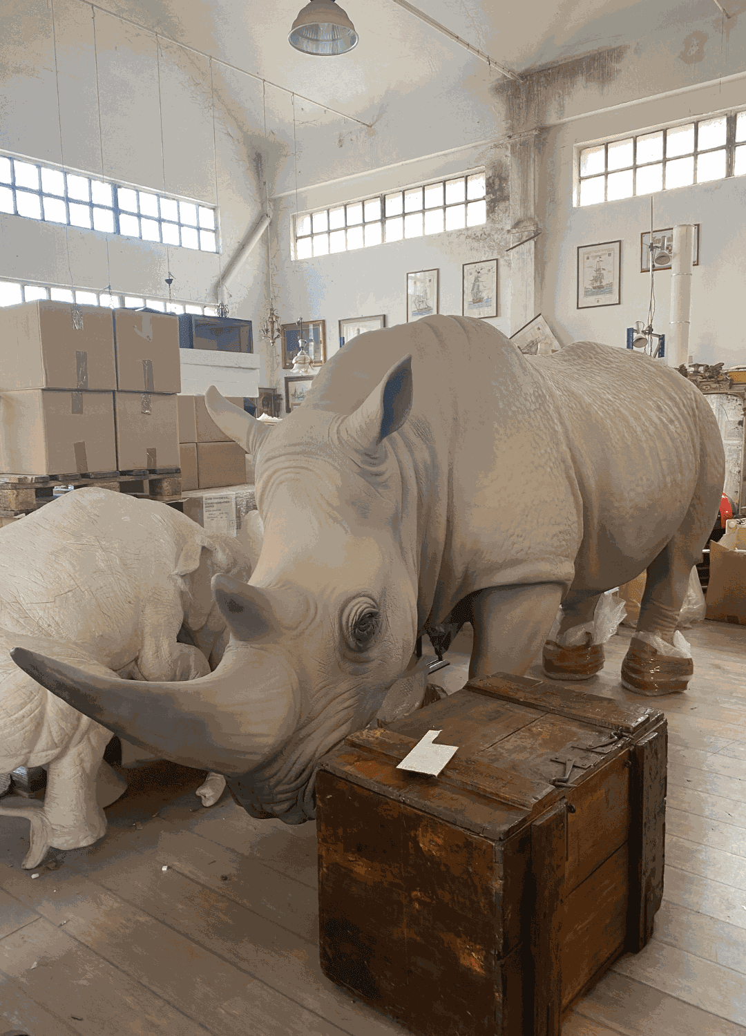 The rhino from Il Peso del Tempo Sospeso at the artist's studio of Stefano Bombardieri