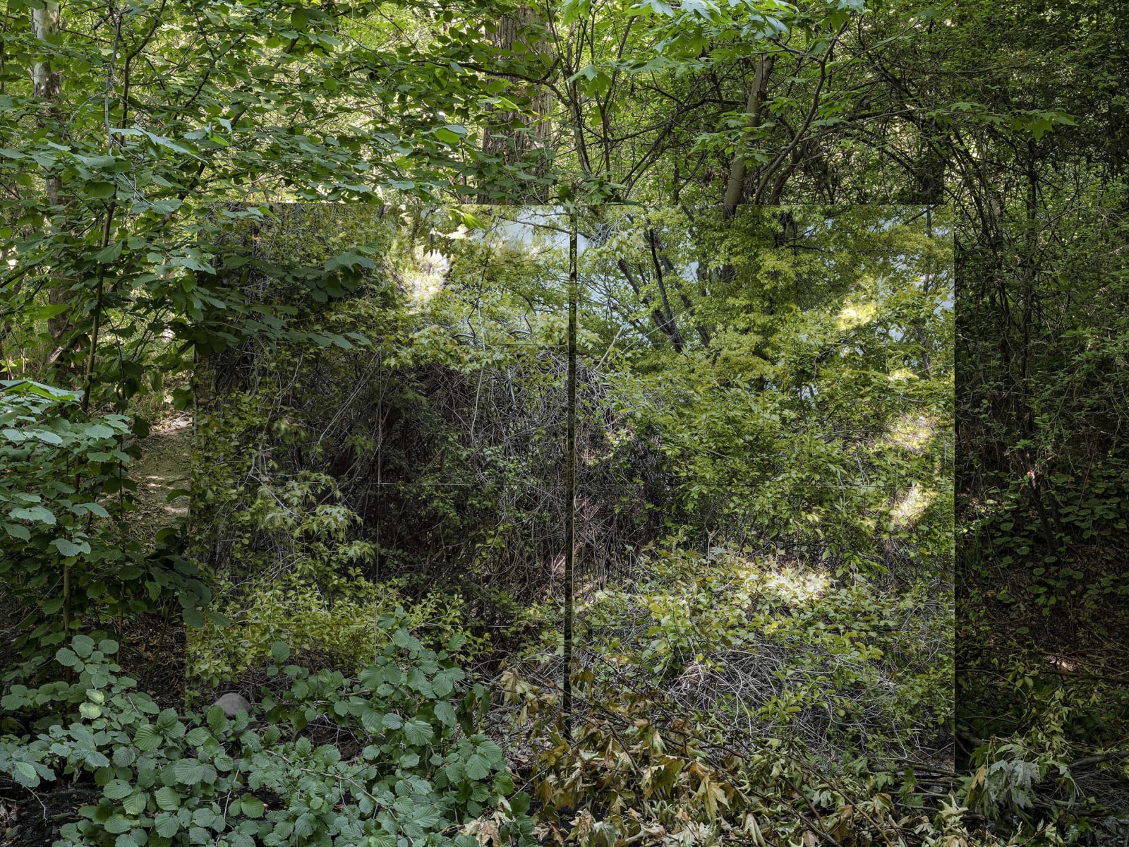 Gohar Dashti, Land/s, 2019