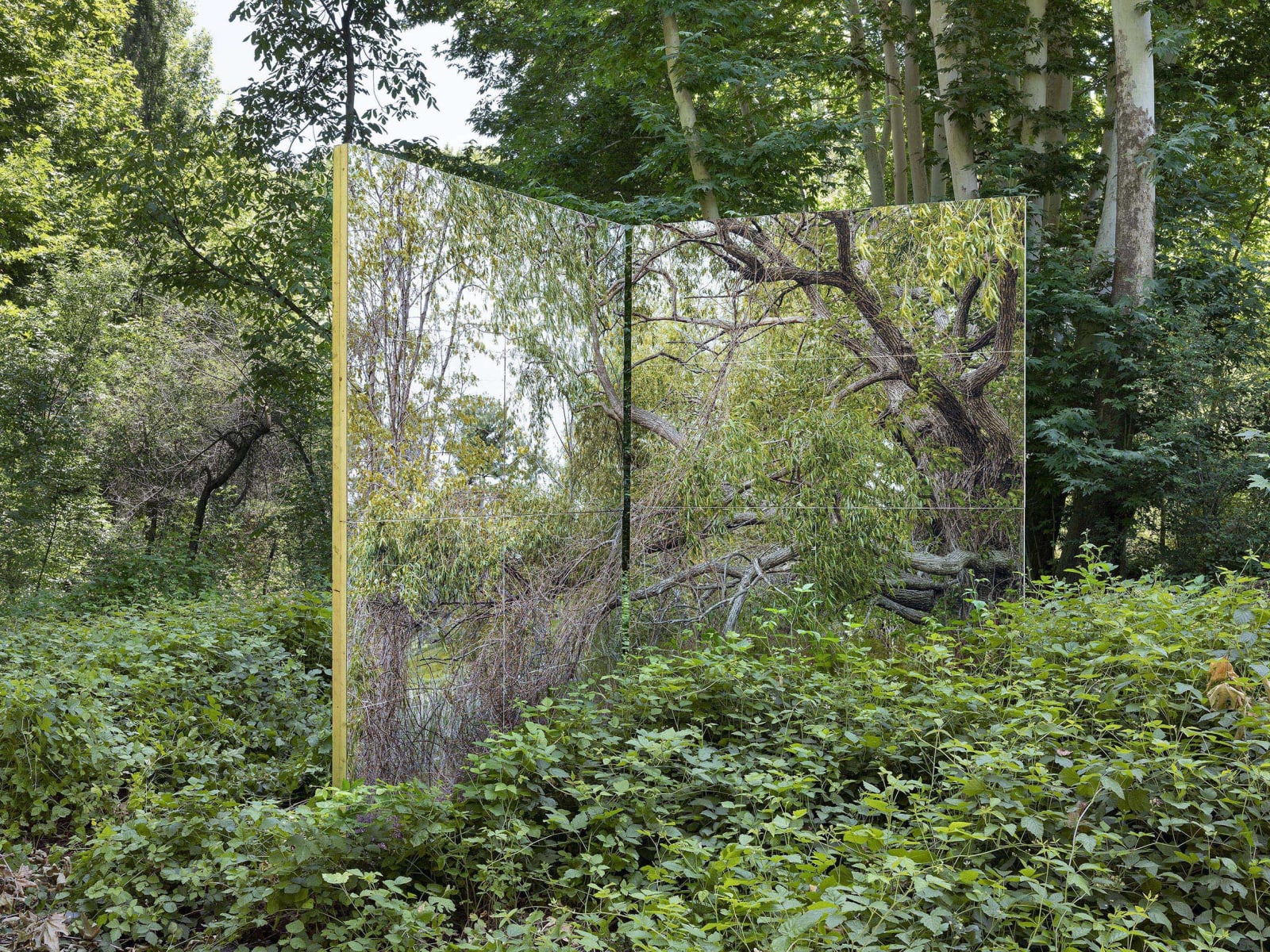Gohar Dashti, Land/s, 2019