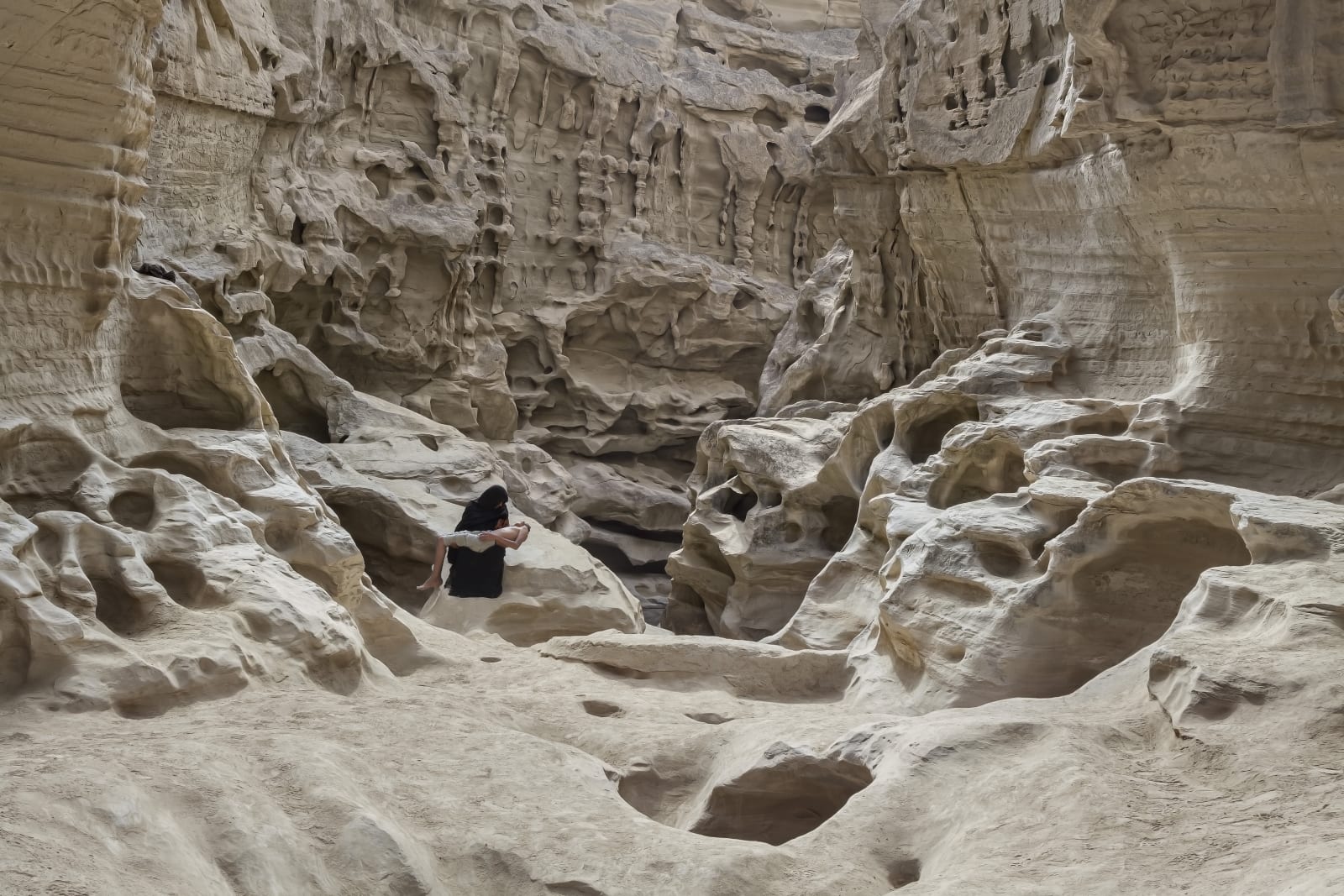 Gohar Dashti, Stateless, 2014 - 2015
