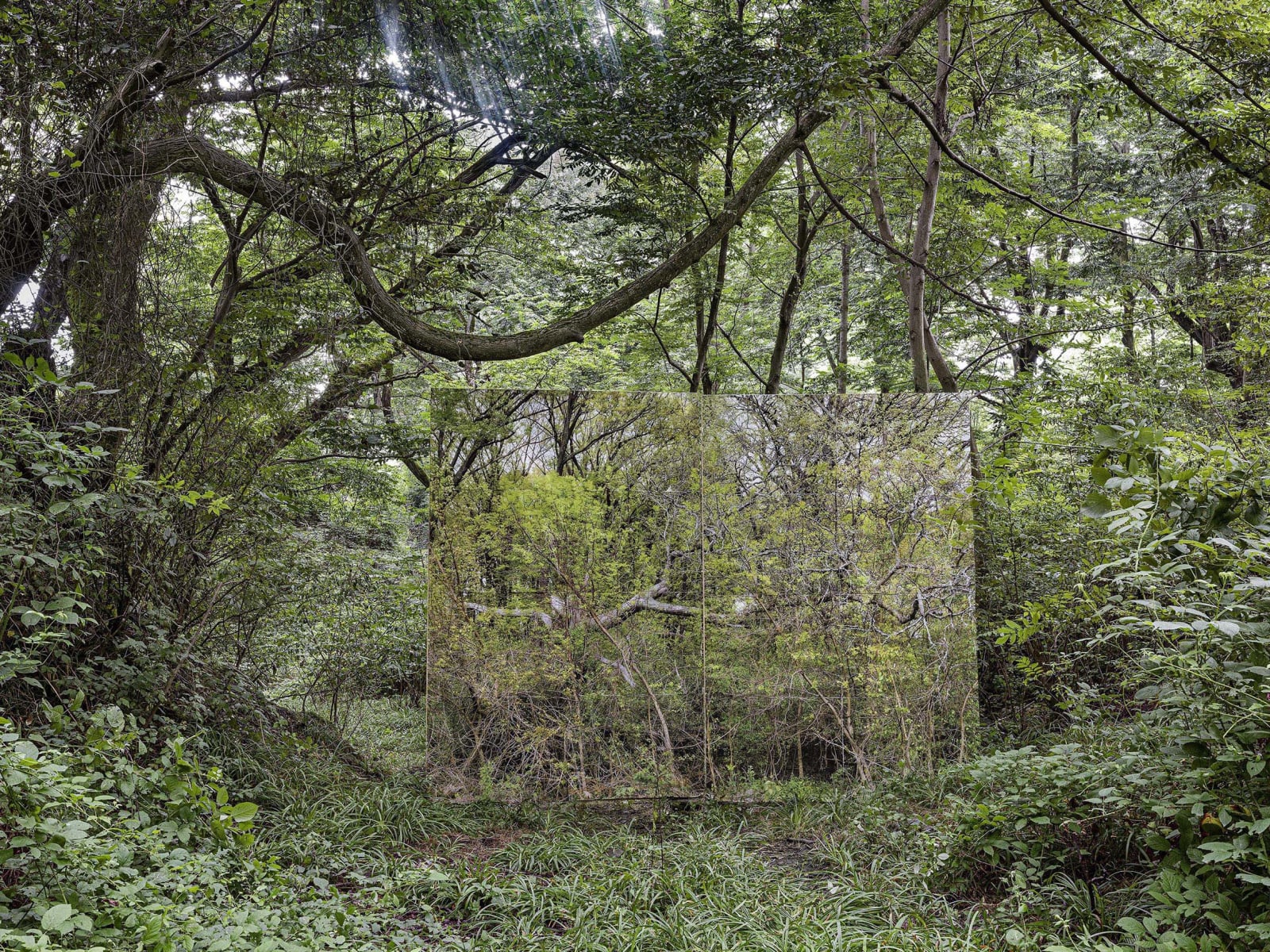 Gohar Dashti, Land/s, 2019