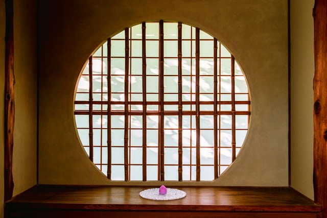 Noda Akiko, Like a Lotus - A Moment of Bud, 2014