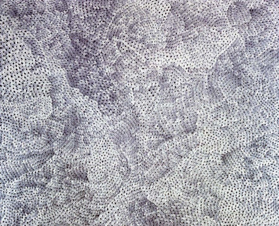 YAYOI KUSAMA Nets Obsession CAWA 2003 Acrylic on canvas130 x 162cm