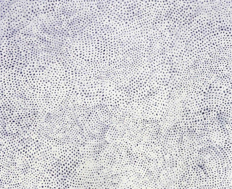 YAYOI KUSAMA Infinity Nets (TWX) 2003 Acrylic on canvas 130.3 x 162cm