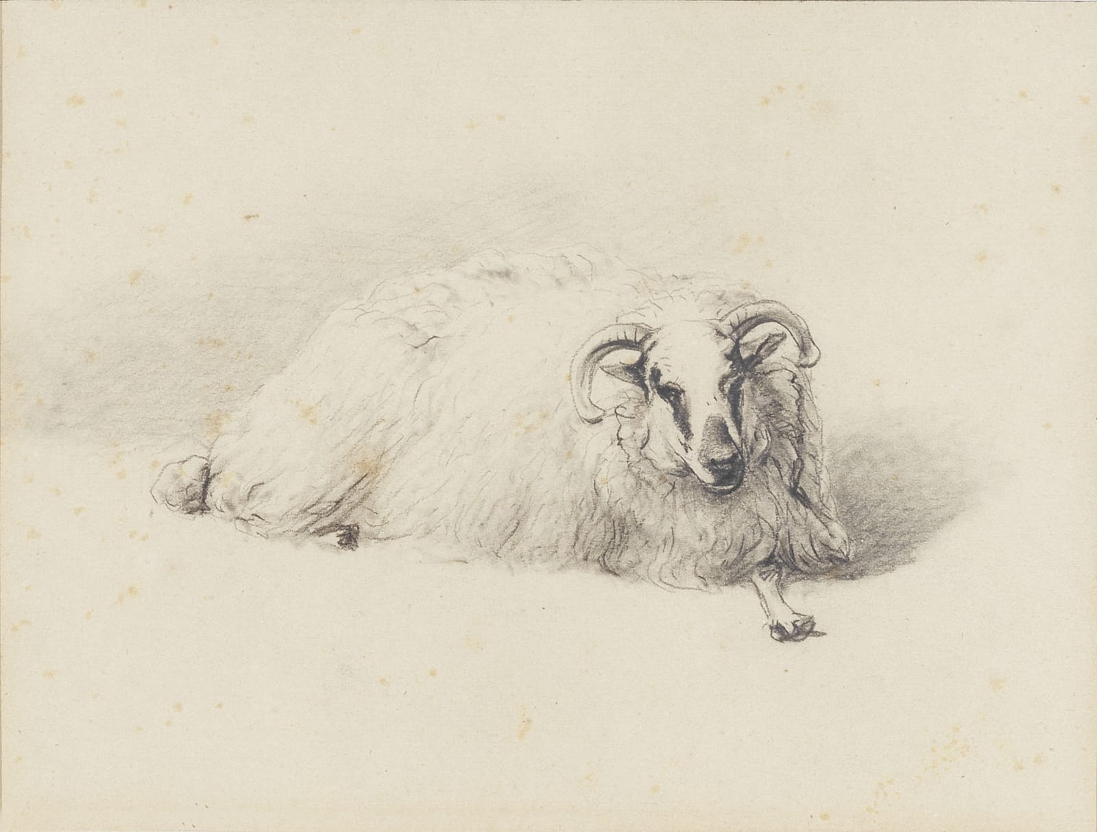 Eugene VERBOECKOVEN, Sheep