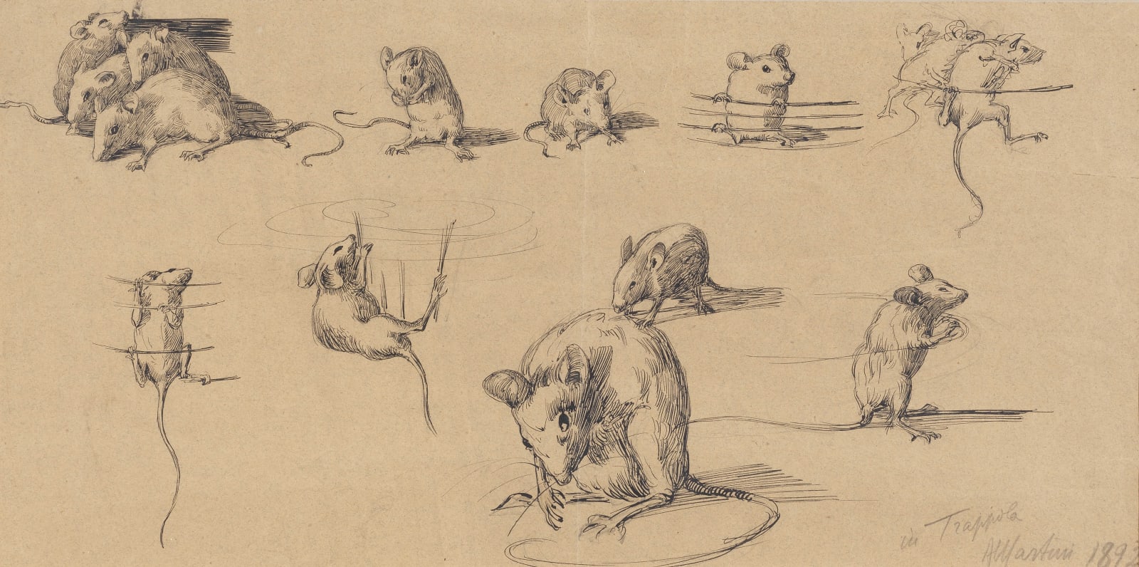 Alberto MARTINI, Mice in a trap
