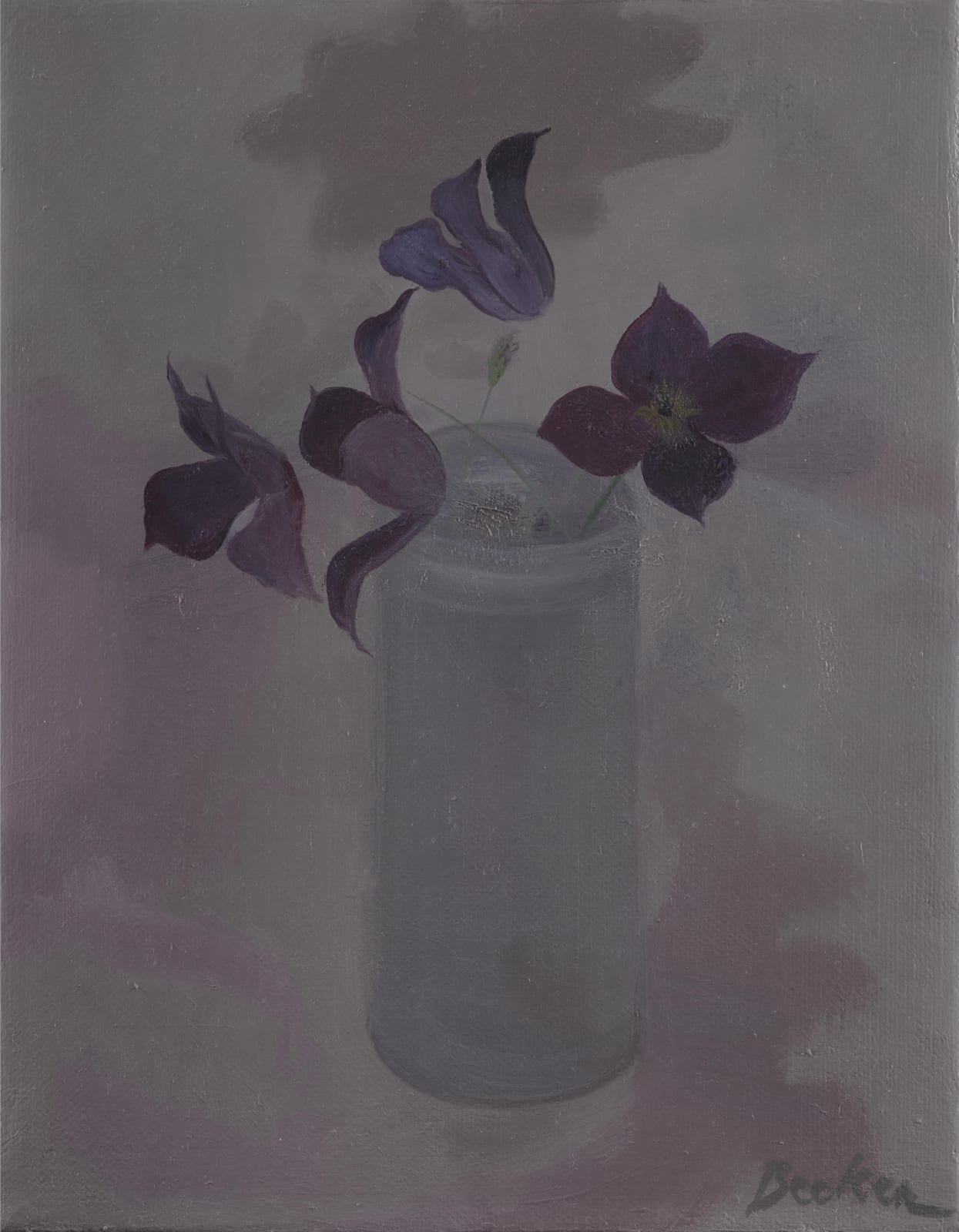 Haidee Becker, four clematis, 2023
