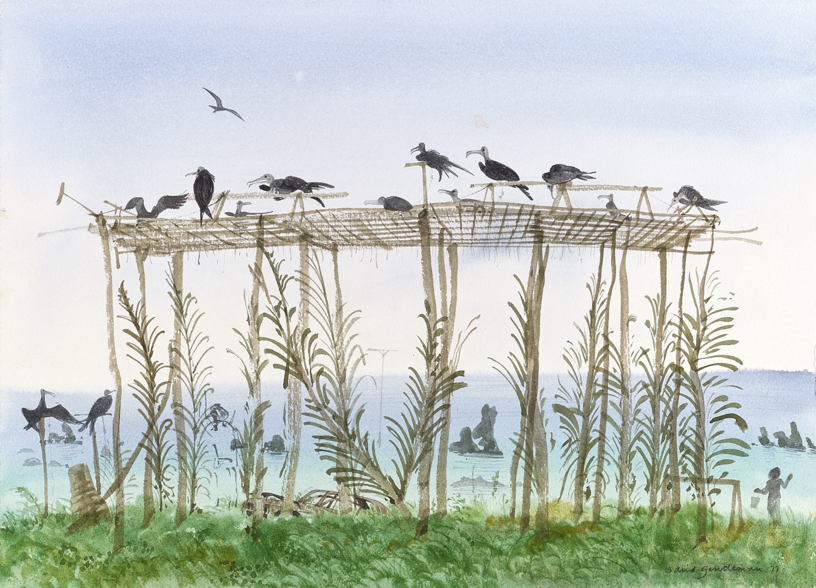 David Gentleman, Frigate bird perch, Anibare, 1976