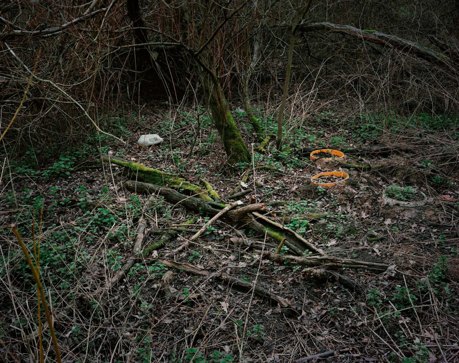 Plates From The Lakebed #6, 2019