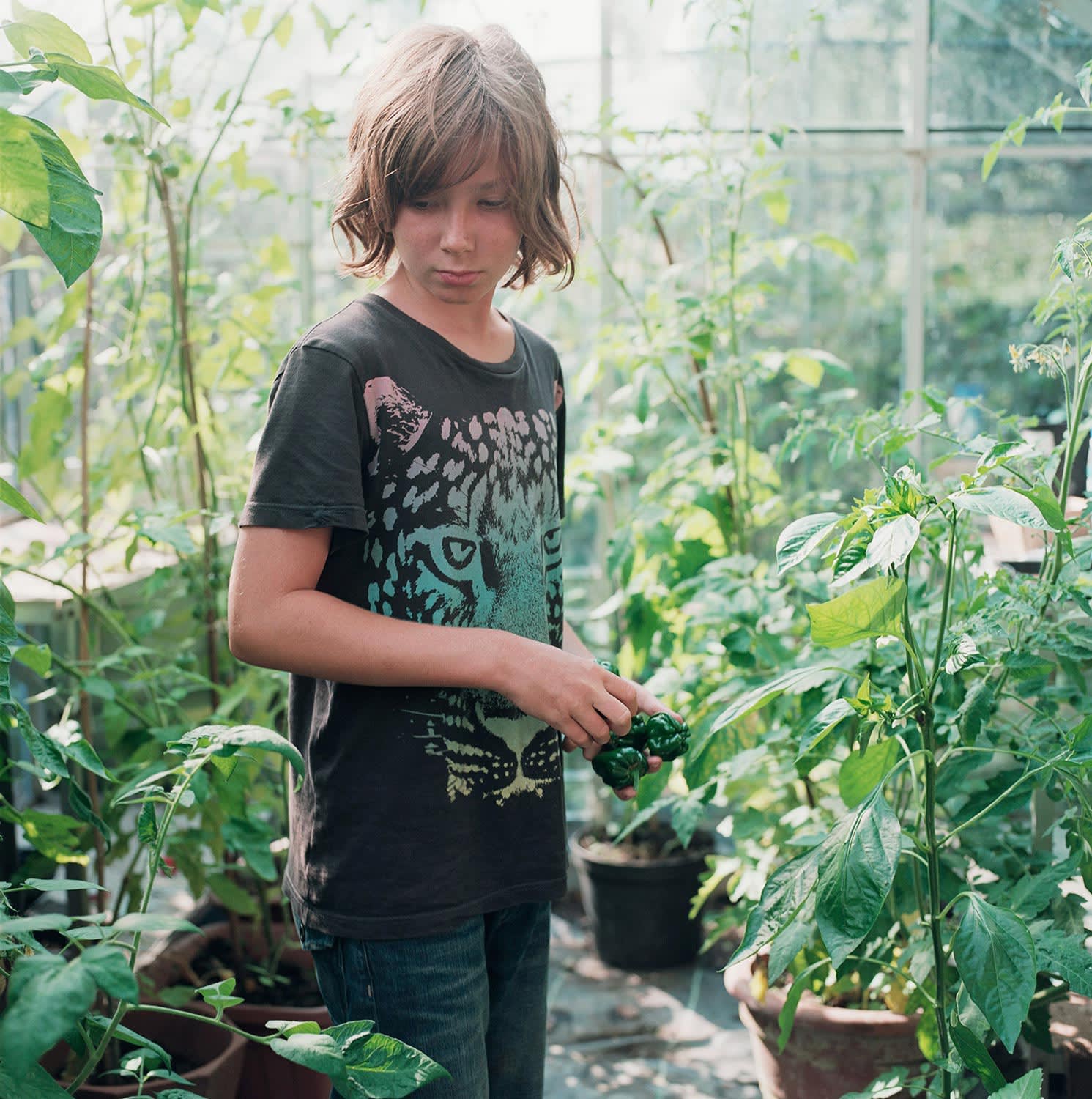 Sam, Kent, England, 2012