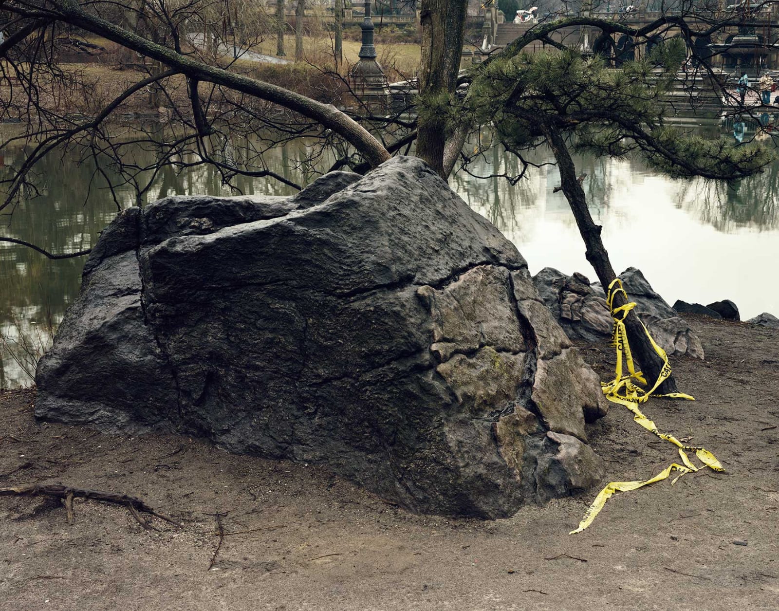 Rock Study, Central Park, New York, 2016