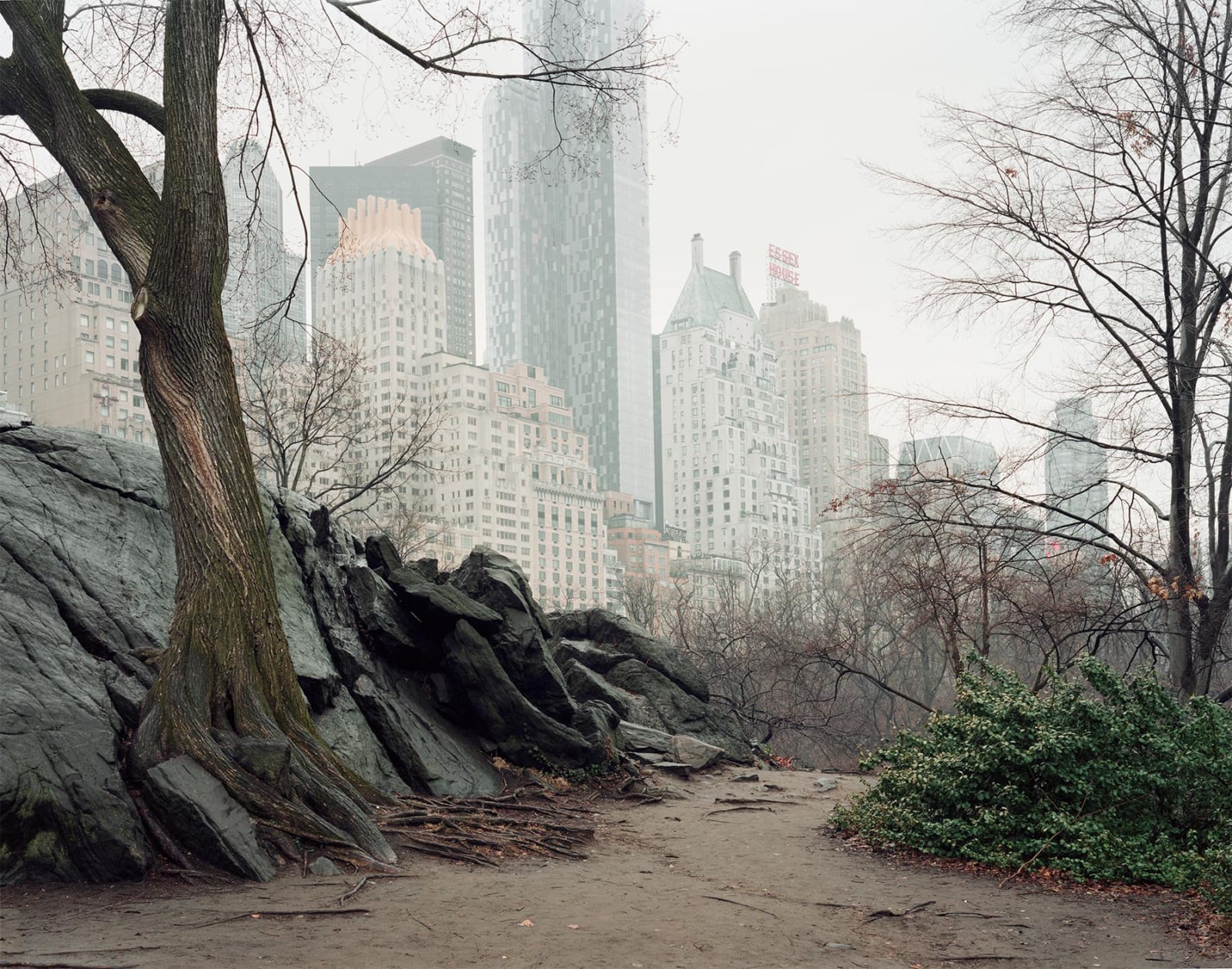 Rock Study, Central Park, New York, 2016